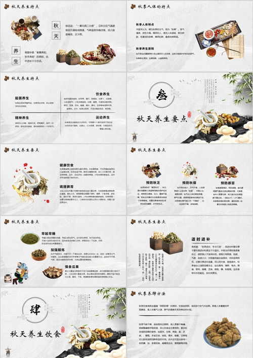 秋日养收之道 中医传统智慧与现代养生服务